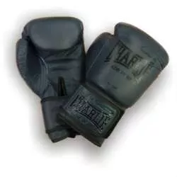 Charlie boxing gloves deep blue
