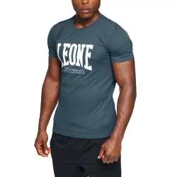 Leone boxing T-shirt ABX106 (grey)