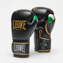 Leone GNE02 boxing gloves...