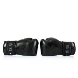 Fairtex muay thai gloves BGVB1 (black)3