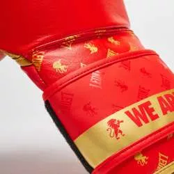 Leone boxing gloves GN220 Red 6