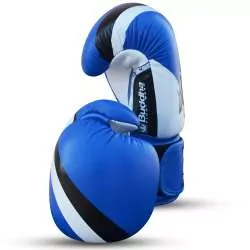 Buddha fighter gloves competition (blue) 3