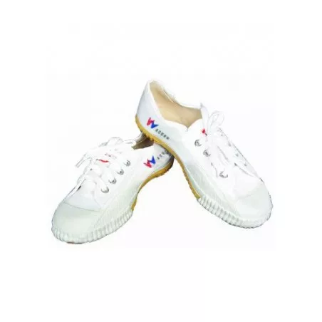 Kung fu Shoes - Taichi Wacoku White